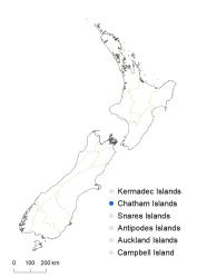 Veronica barkeri distribution map based on databased records at AK, CHR & WELT.
 Image: K.Boardman © Landcare Research 2022 CC-BY 4.0